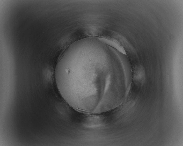 X0000100930332200806241411