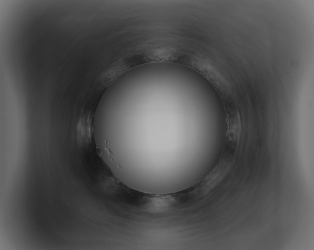 X0000100930334200806241411