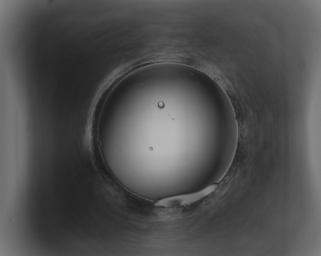 X0000100930340200806241410