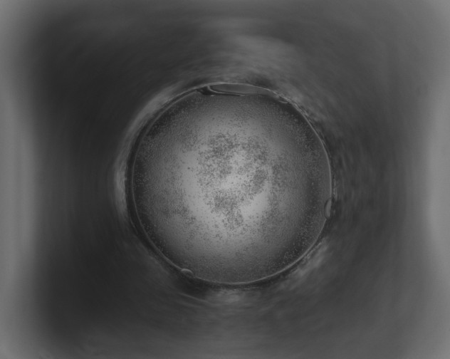 X0000100930341200806241410