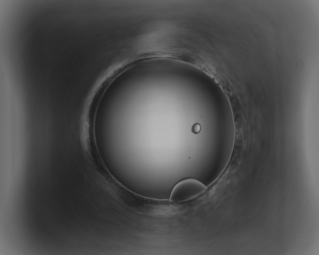 X0000100930342200806241410