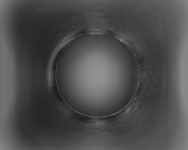 X0000100930343200806241410