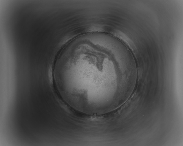 X0000100930345200806241410