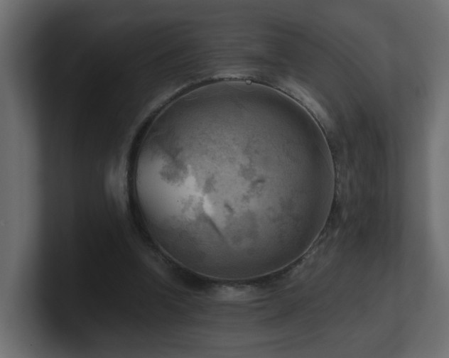 X0000100930346200806241410