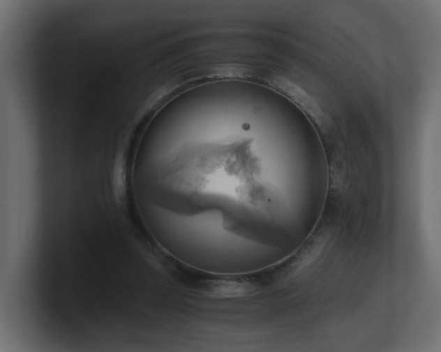 X0000100930347200806241410