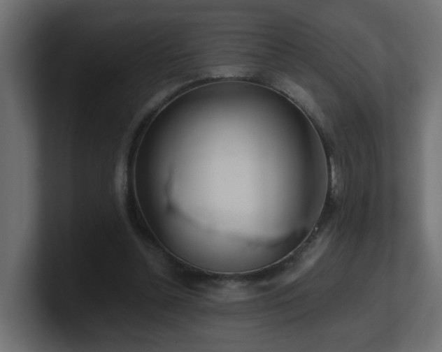 X0000100930348200806241410