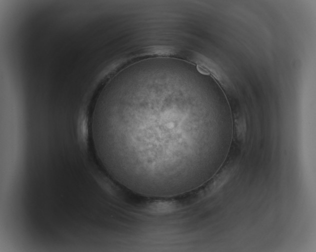 X0000100930350200806241410