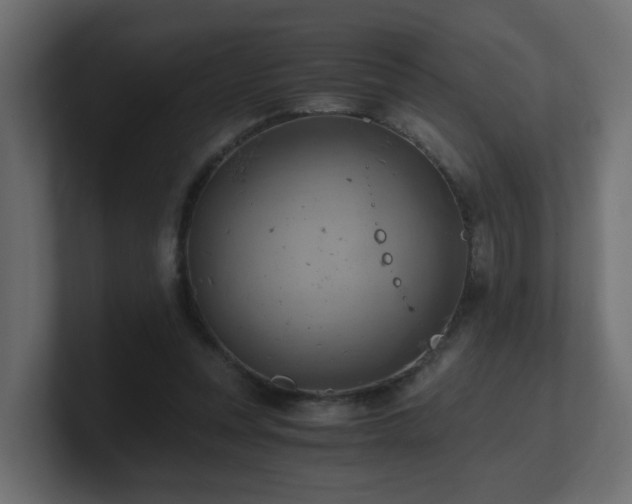 X0000100930351200806241410