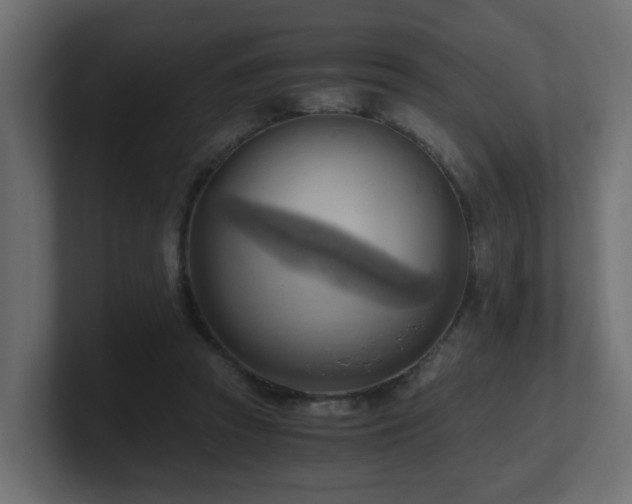 X0000100930353200806241410