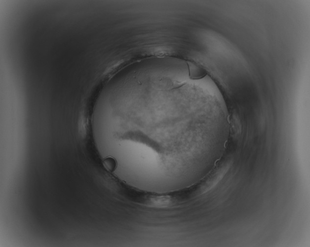 X0000100930355200806241410