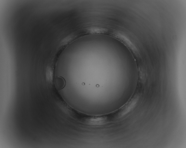 X0000100930357200806241410