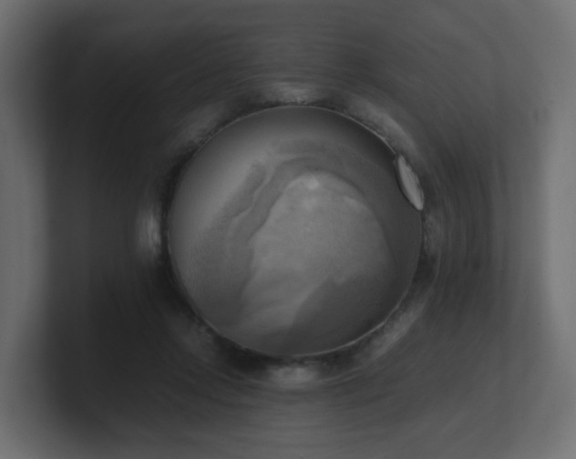 X0000100930358200806241410