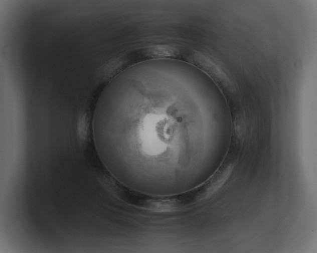 X0000100930359200806241410