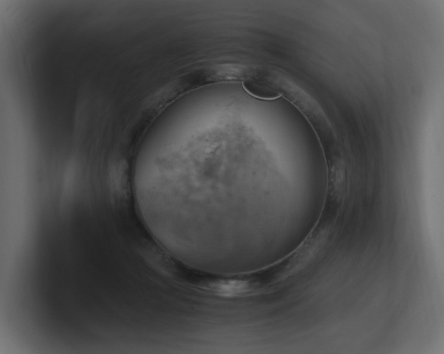 X0000100930361200806241410