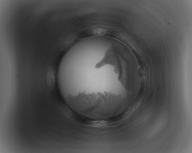 X0000100930363200806241410