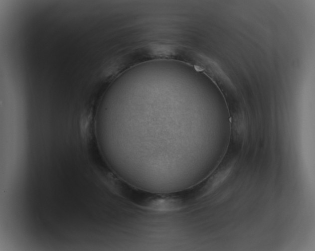 X0000100930364200806241410