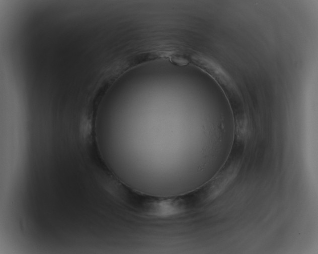 X0000100930365200806241410