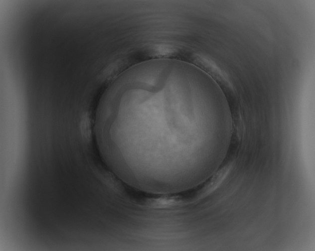 X0000100930366200806241410