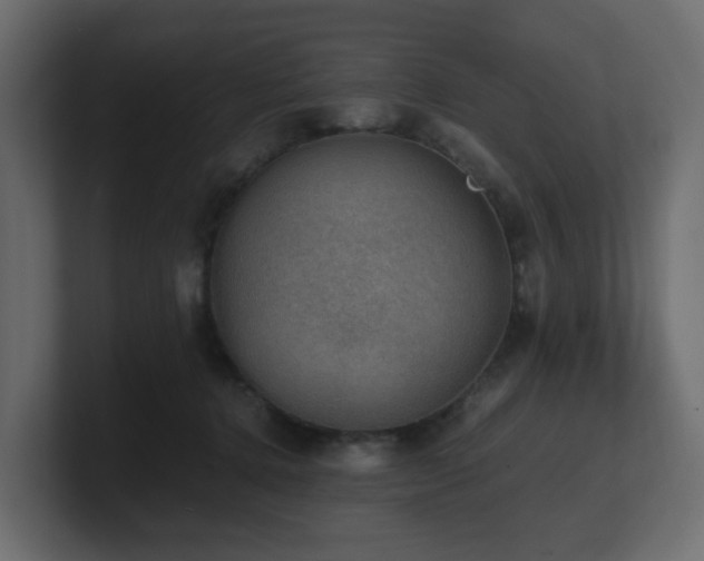 X0000100930368200806241410