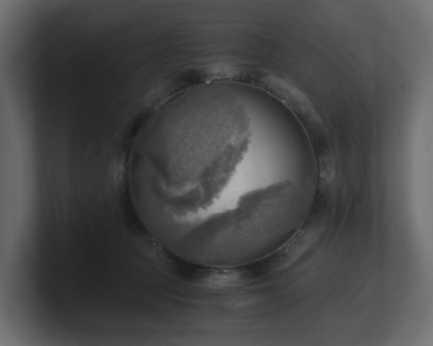 X0000100930369200806241410