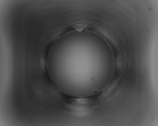 X0000100930371200806241410