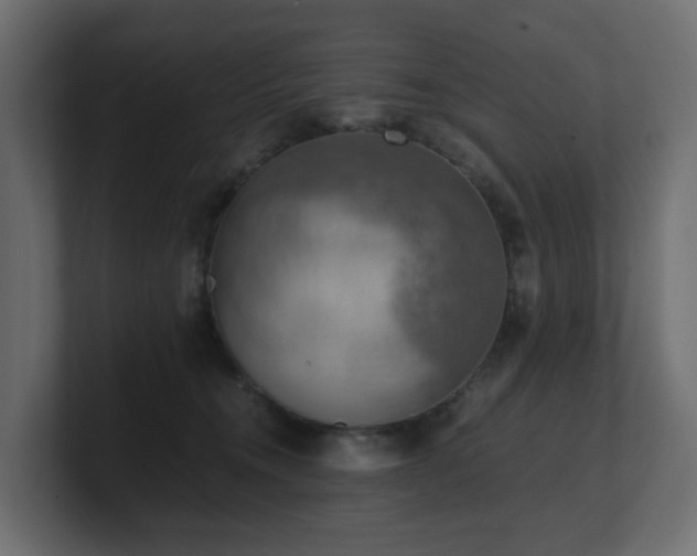 X0000100930372200806241410