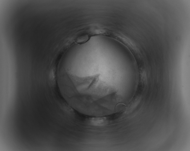 X0000100930373200806241410