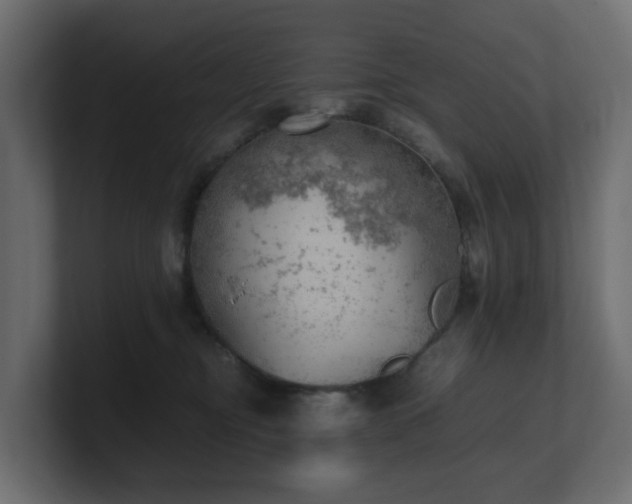 X0000100930374200806241410