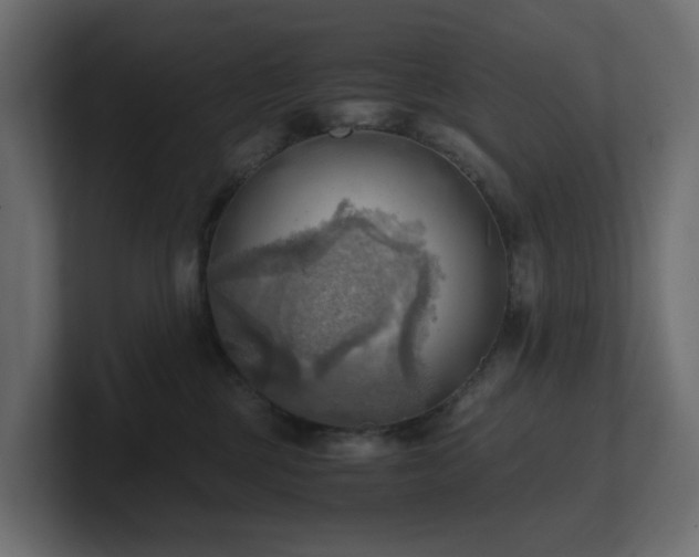 X0000100930377200806241410