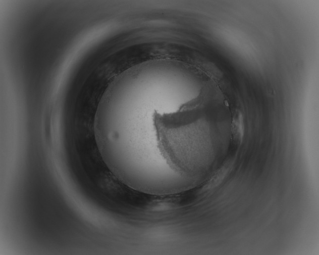 X0000100930381200806241411