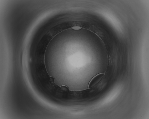 X0000100930383200806241411