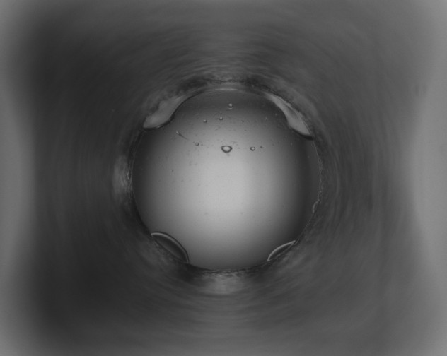 X0000100930384200806241411