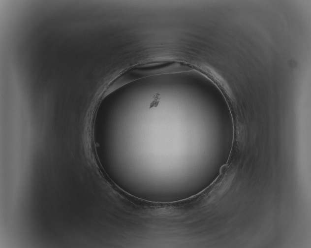 X0000100930385200806241410