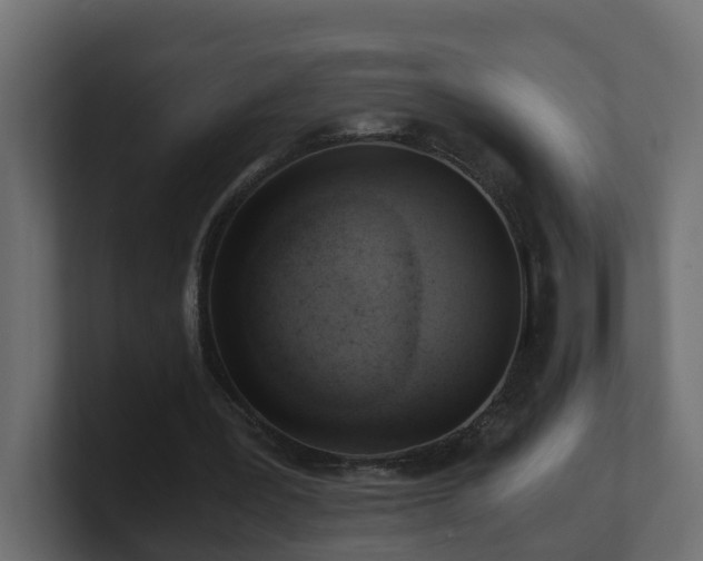 X0000100930387200806241410