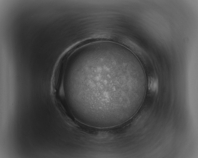 X0000100930388200806241410