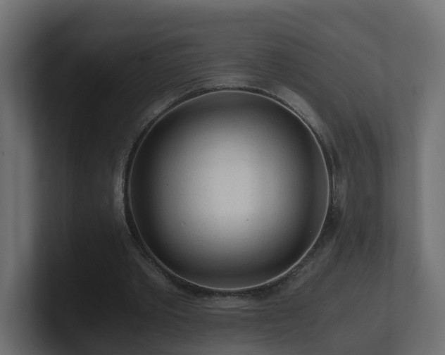 X0000100930389200806241410