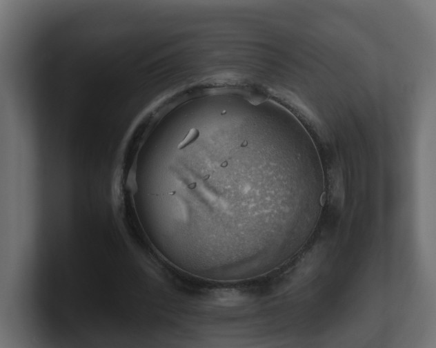 X0000100930392200806241410