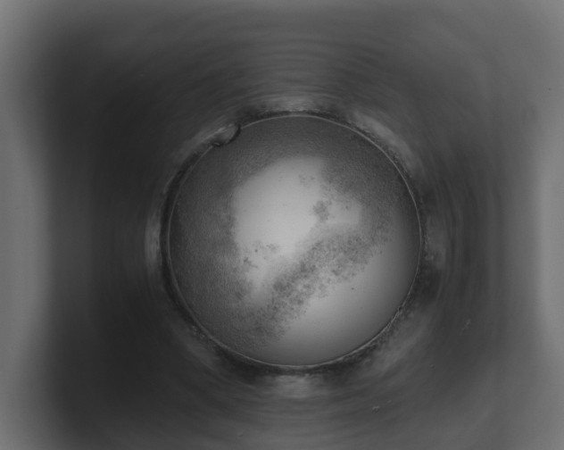 X0000100930394200806241410