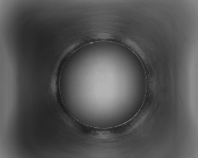 X0000100930395200806241410