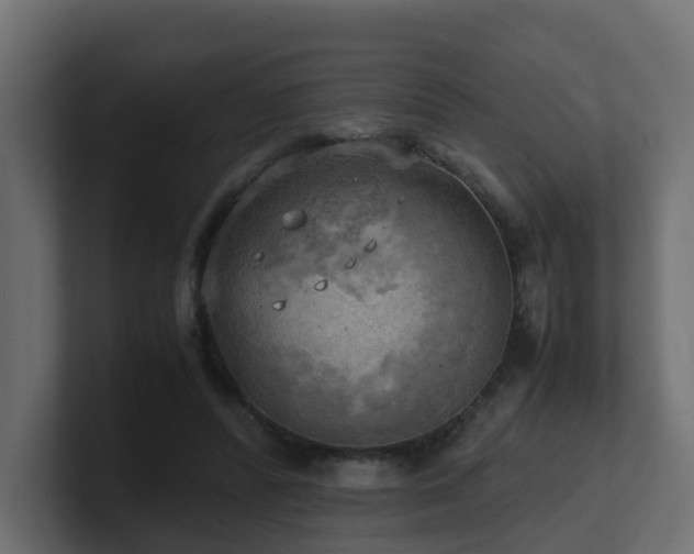 X0000100930400200806241410