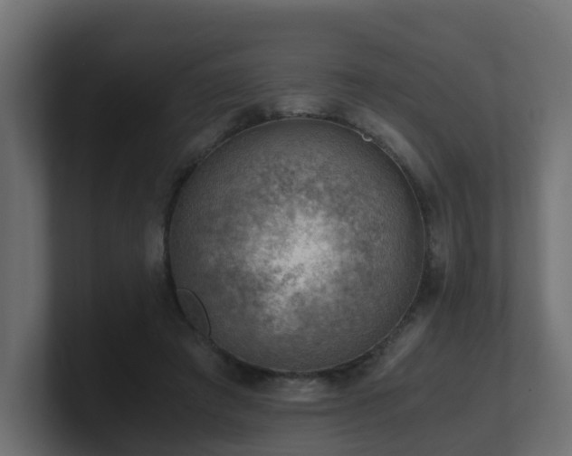 X0000100930401200806241410