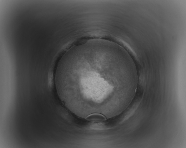 X0000100930403200806241410