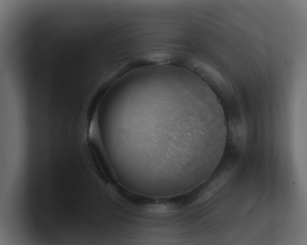 X0000100930404200806241410