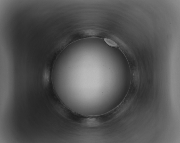 X0000100930406200806241410