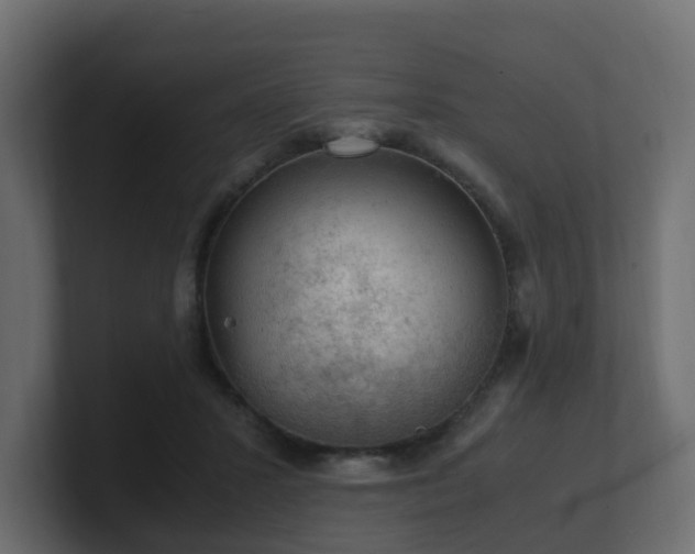 X0000100930407200806241410