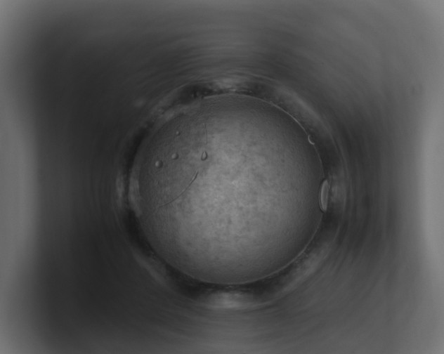 X0000100930408200806241410