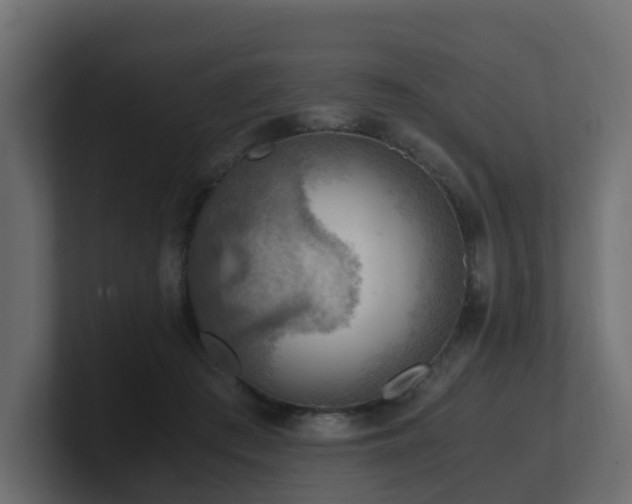 X0000100930409200806241410