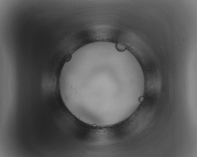 X0000100930411200806241410