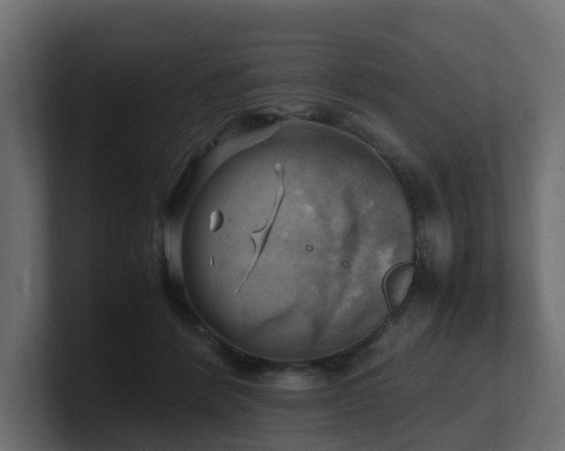 X0000100930412200806241410