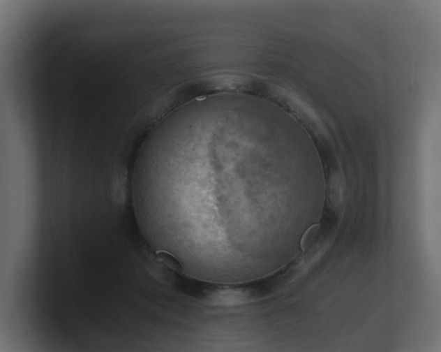 X0000100930413200806241410